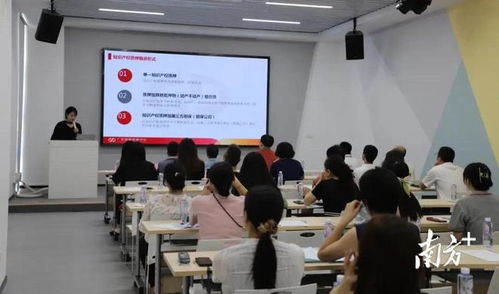 政策宣講助力業務對接 汕頭高新區深化知識產權培訓賦能企業發展